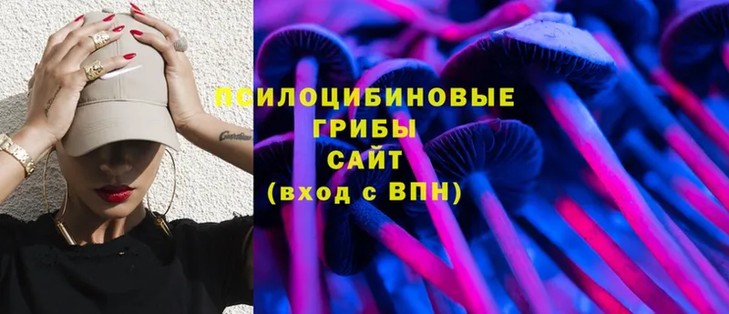 Галлюциногенные грибы Cubensis  что такое   Новотроицк 